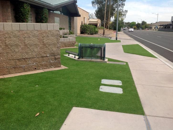 Synthetic Grass Indian Springs Nevada Landscape