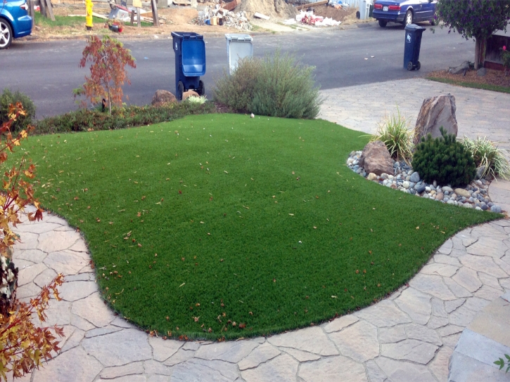 Synthetic Grass Indian Springs Nevada Landscape