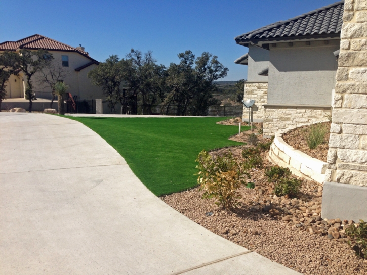 Synthetic Grass Moapa Town Nevada Landscape