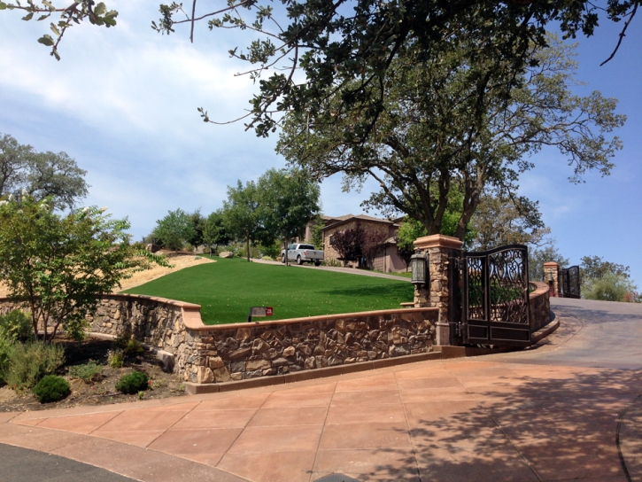 Synthetic Grass Mount Charleston Nevada Lawn