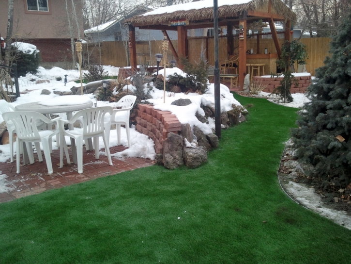 Synthetic Grass Mount Charleston Nevada Landscape