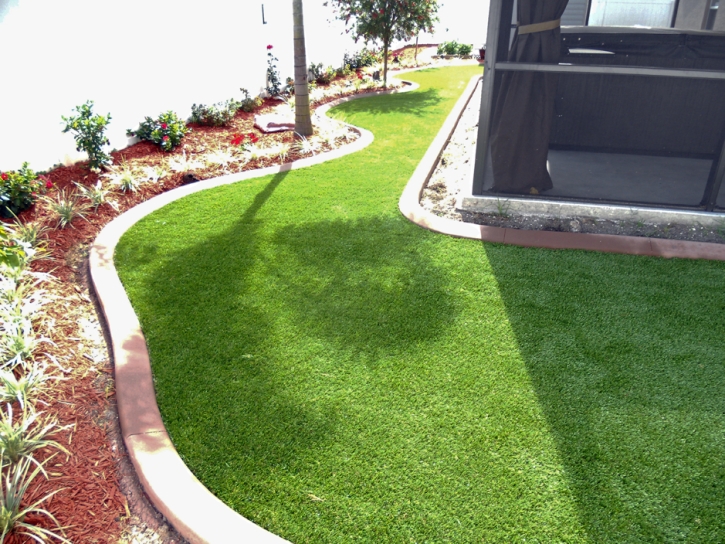 Synthetic Grass Nellis Air Force Base Nevada Landscape