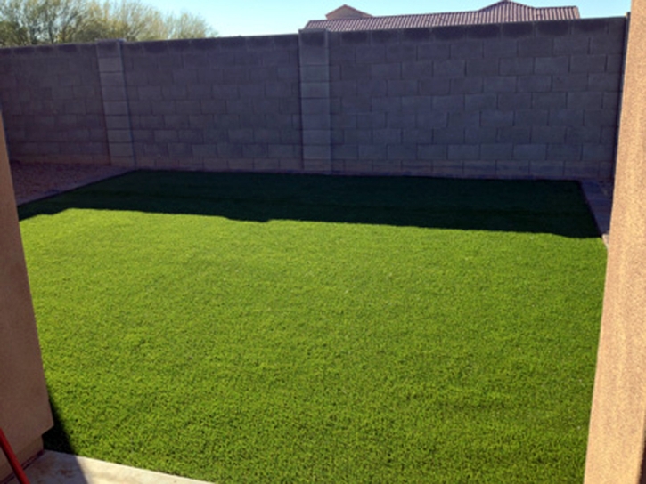 Synthetic Grass Nellis Air Force Base Nevada Landscape