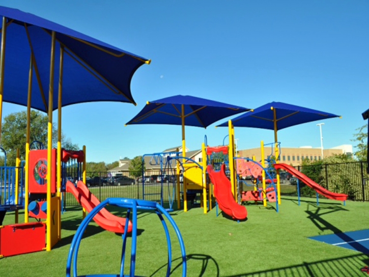 Synthetic Grass Nelson Nevada Childcare Facilities