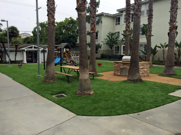Synthetic Grass North Las Vegas Nevada Lawn