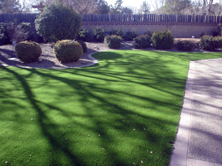 Synthetic Grass North Las Vegas Nevada Landscape