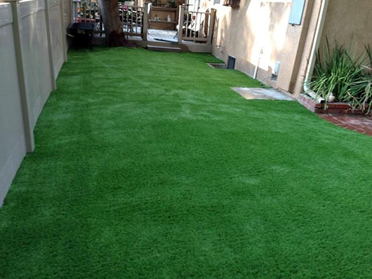 Synthetic Grass Pahrump Nevada Landscape