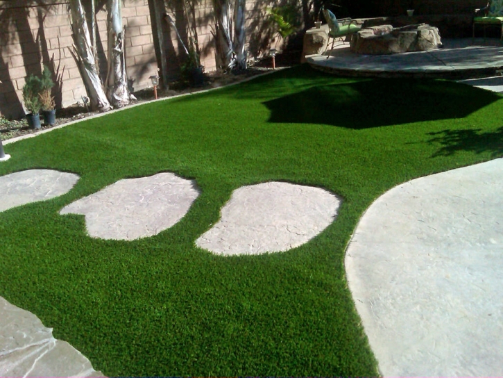 Synthetic Grass Pahrump Nevada Landscape