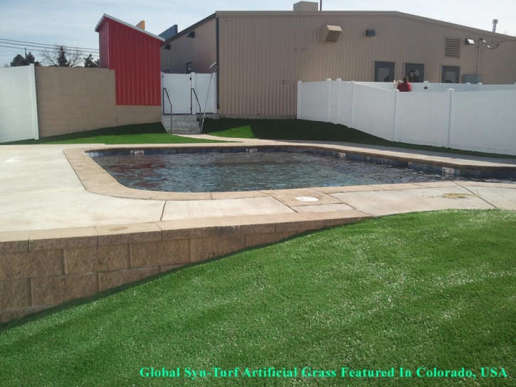 Synthetic Grass Pahrump Nevada Lawn