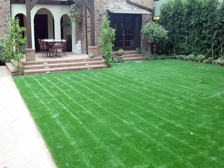 Synthetic Grass Paradise Nevada Lawn