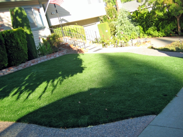 Synthetic Grass Paradise Nevada Lawn