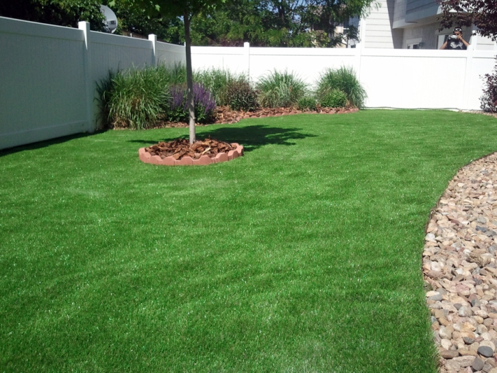 Synthetic Grass Sandy Valley Nevada Lawn