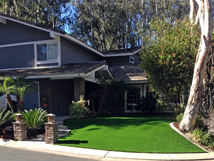 Synthetic Grass Sandy Valley Nevada Lawn