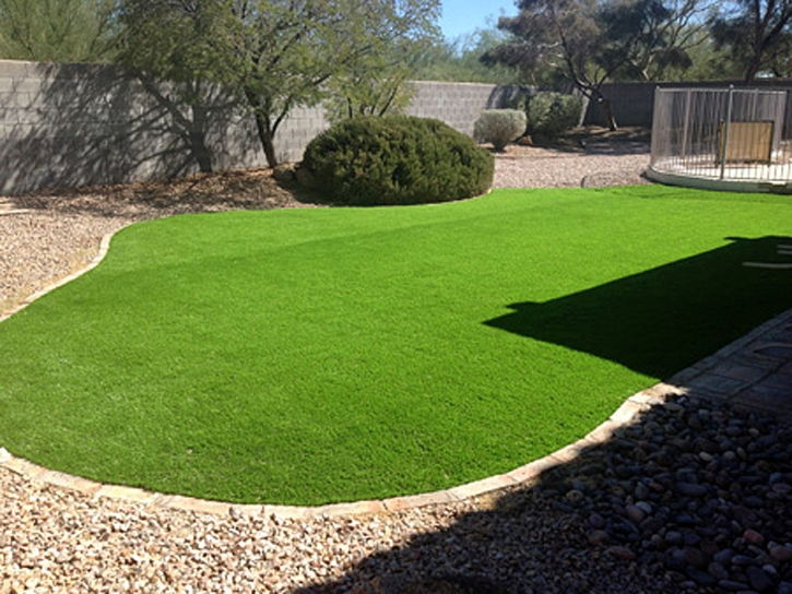 Synthetic Grass Sandy Valley Nevada Landscape