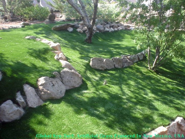 Synthetic Grass Summerlin South Nevada Landscape