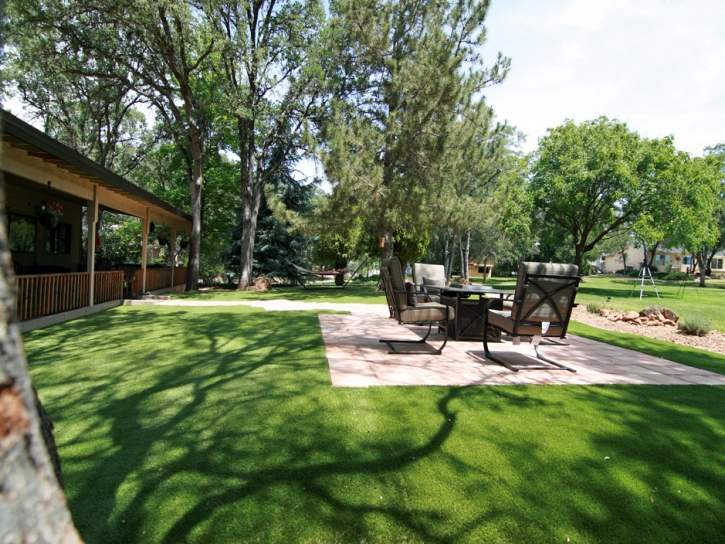 Synthetic Grass Whitney Nevada Lawn