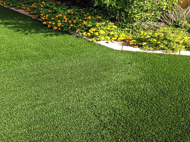 Synthetic Grass Whitney Nevada Lawn