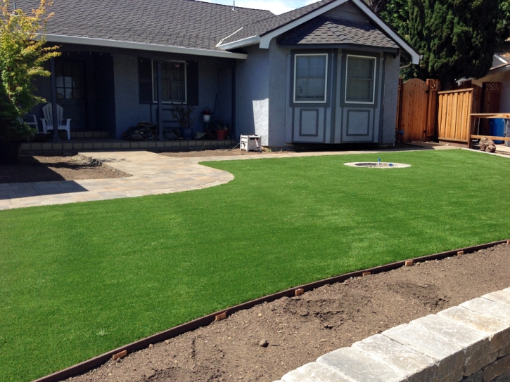 Synthetic Grass Winchester Nevada Landscape