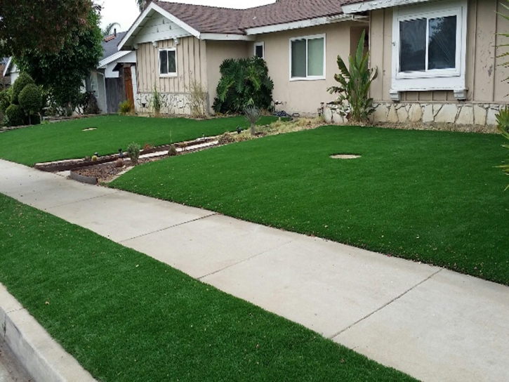 Synthetic Grass Winchester Nevada Lawn
