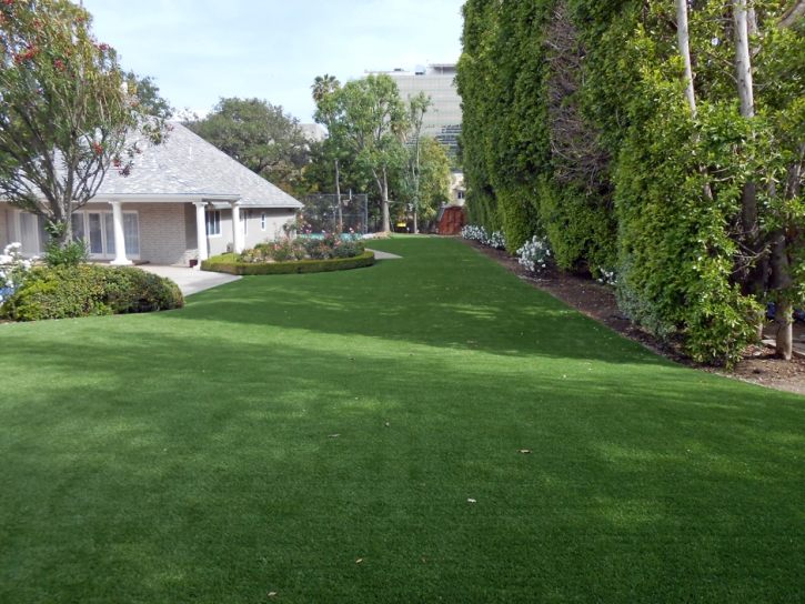 Synthetic Pet Grass Moapa Valley Nevada for Dogs