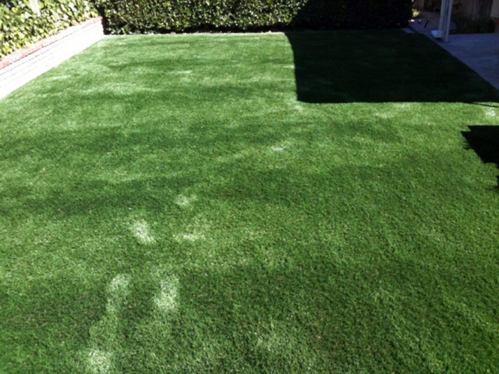 Synthetic Pet Grass Moapa Valley Nevada Installation