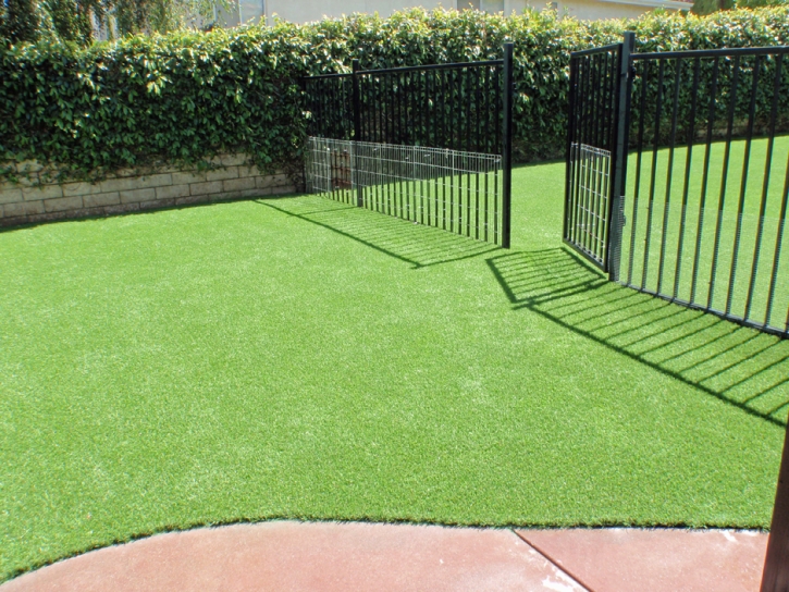 Synthetic Pet Turf Henderson Nevada for Dogs
