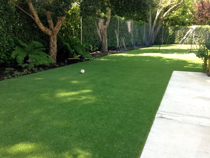 Synthetic Pet Turf Henderson Nevada Installation