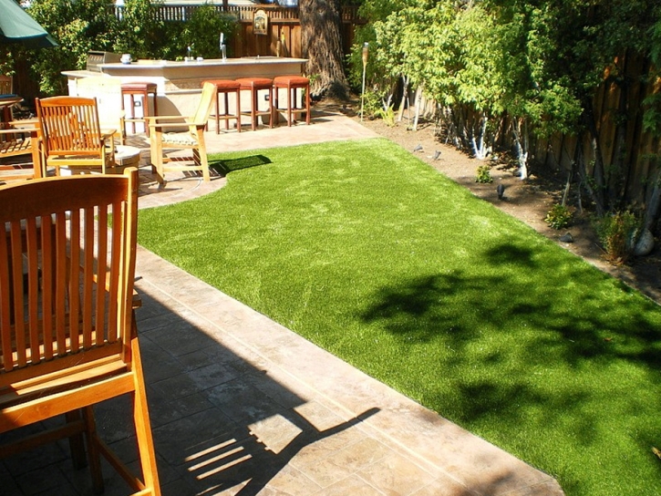 Synthetic Pet Turf North Las Vegas Nevada for Dogs