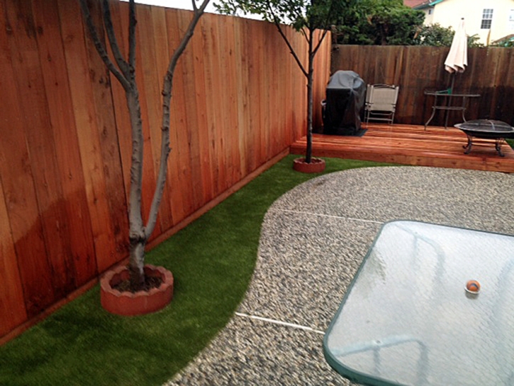 Synthetic Pet Turf Paradise Nevada for Dogs