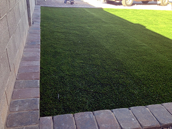 Synthetic Pet Turf Sandy Valley Nevada Installation