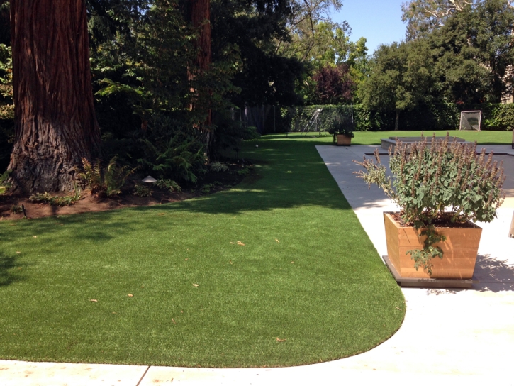 Synthetic Pet Turf Whitney Nevada Installation