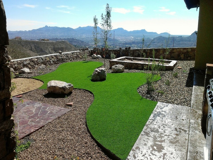 Synthetic Pets Areas Sandy Valley Nevada Installation