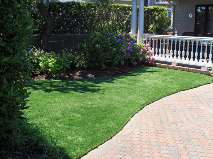 Synthetic Turf Blue Diamond Nevada Landscape