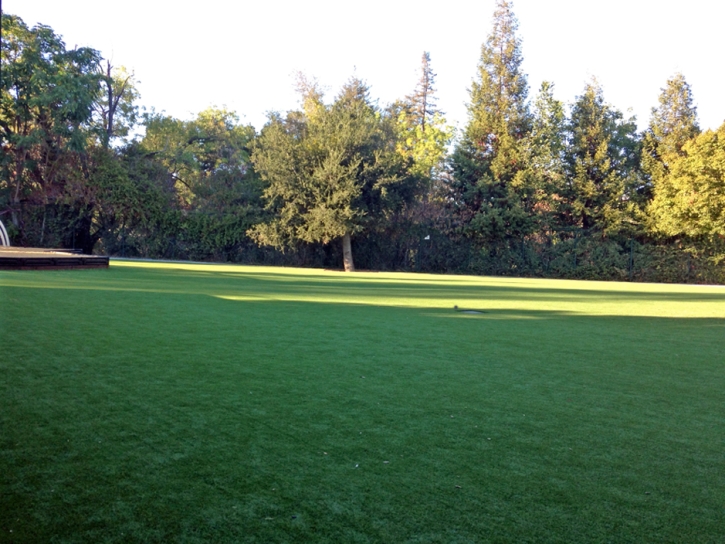 Synthetic Turf Blue Diamond Nevada Landscape