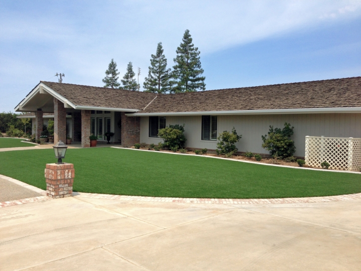 Synthetic Turf Boulder City Nevada Landscape