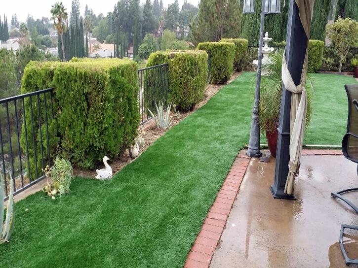 Synthetic Turf Cal-Nev-Ari Nevada Landscape