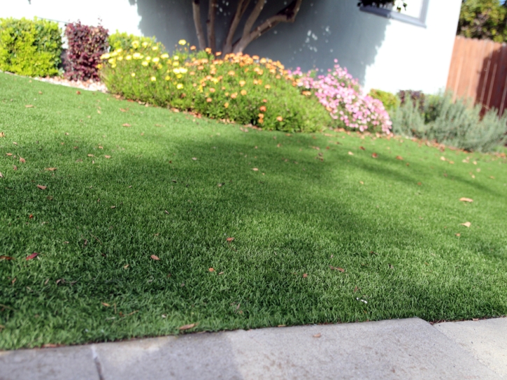 Synthetic Turf Cal-Nev-Ari Nevada Landscape