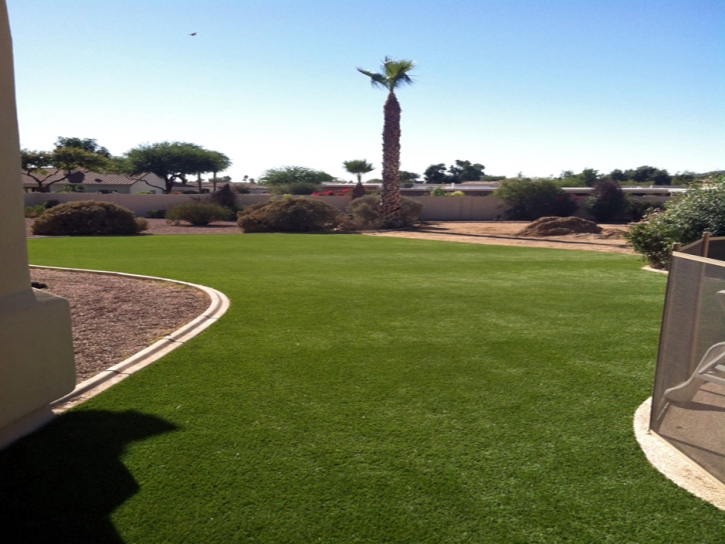 Synthetic Turf Enterprise Nevada Landscape