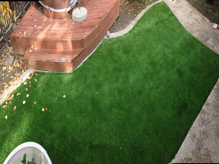 Synthetic Turf Enterprise Nevada Landscape
