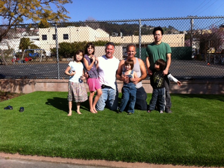 Synthetic Turf Goodsprings Nevada Lawn