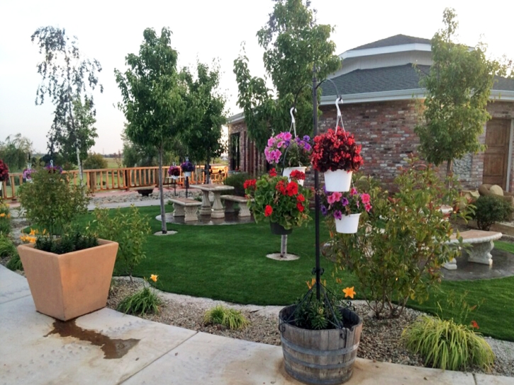 Synthetic Turf Henderson Nevada Landscape