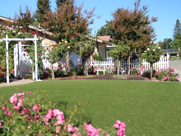 Synthetic Turf Henderson Nevada Lawn