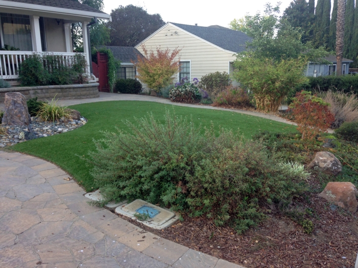 Synthetic Turf Indian Springs Nevada Landscape