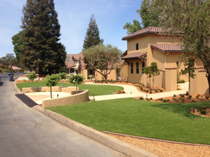 Synthetic Turf Moapa Town Nevada Lawn