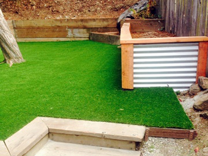Synthetic Turf Moapa Town Nevada Lawn