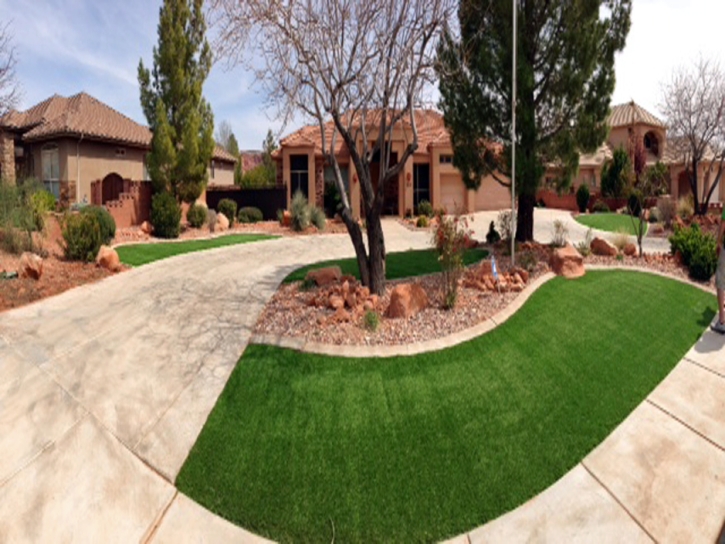 Synthetic Turf Moapa Town Nevada Landscape