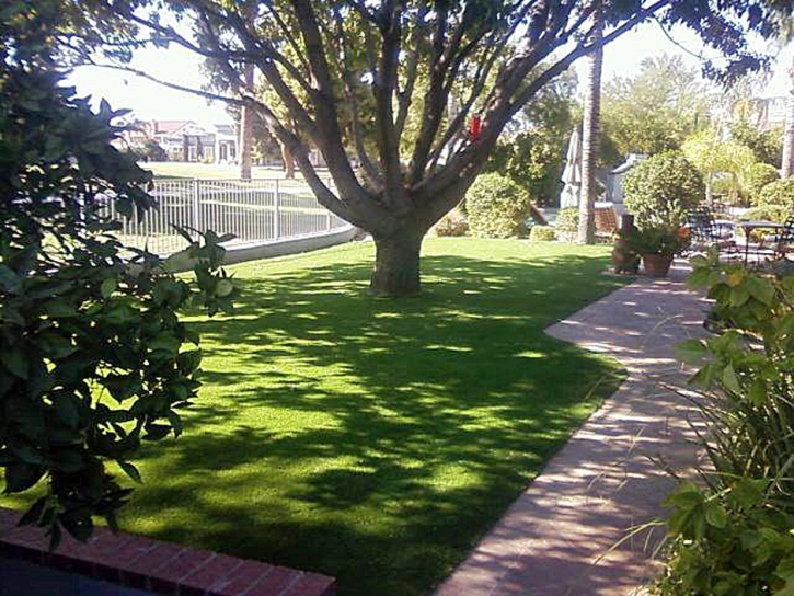 Synthetic Turf Moapa Town Nevada Landscape