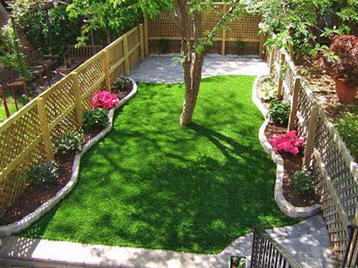 Synthetic Turf Moapa Valley Nevada Landscape