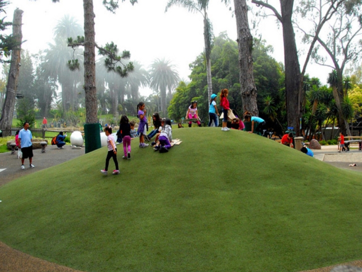 Synthetic Turf Mount Charleston Nevada Playgrounds