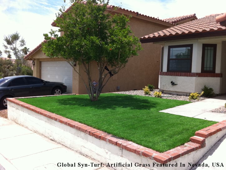 Synthetic Turf Mount Charleston Nevada Landscape